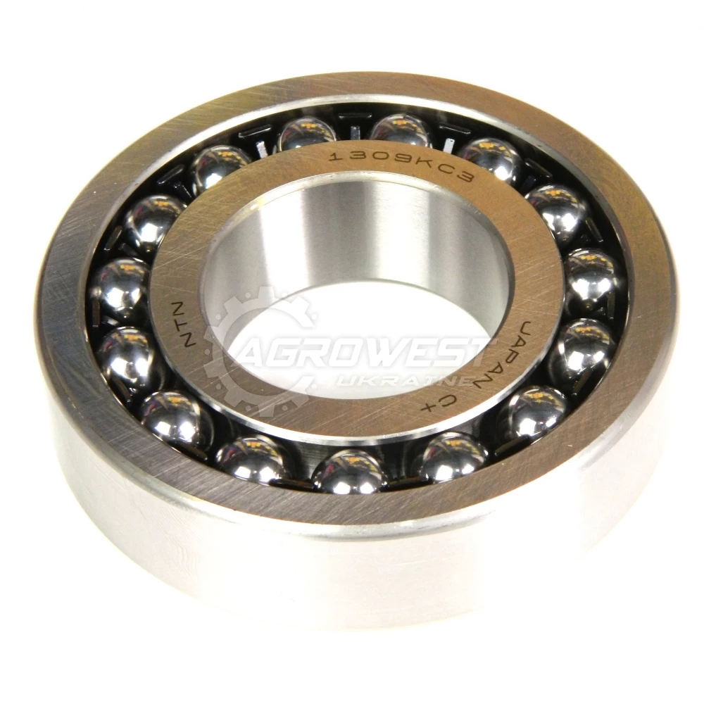 Підшипник дворядний самовстановлюючий 45x100x25mm